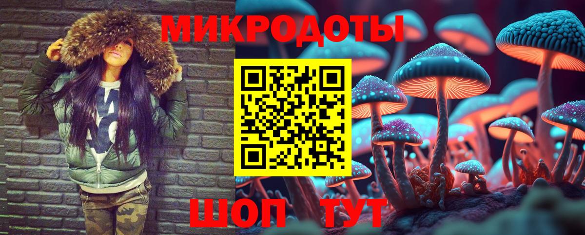 Ипатово  Галлюциногенные грибы Psilocybine cubensis  Вход с VPN 