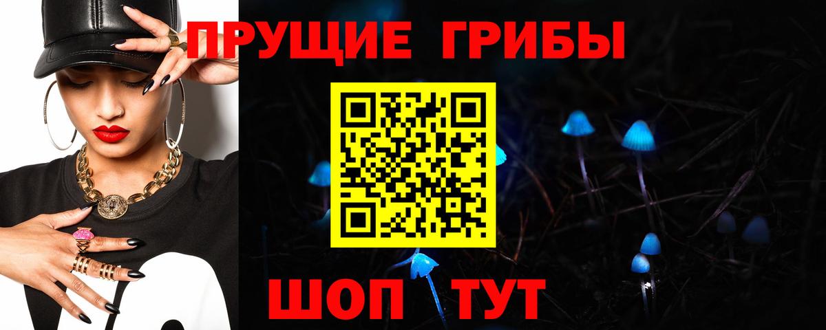 Галлюциногенные грибы Cubensis Ипатово